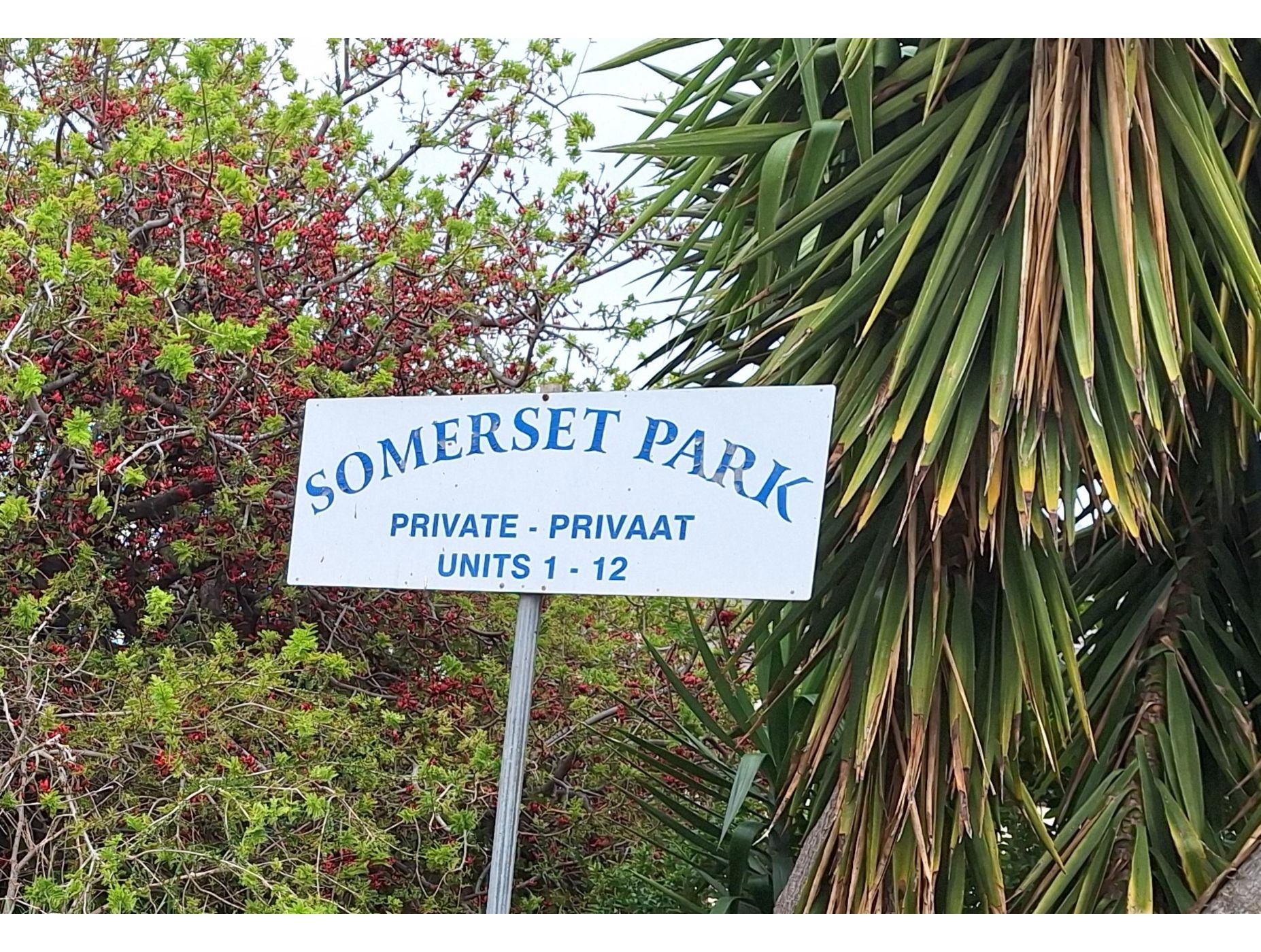 Apartment let in Bridgewater - SWL1677903