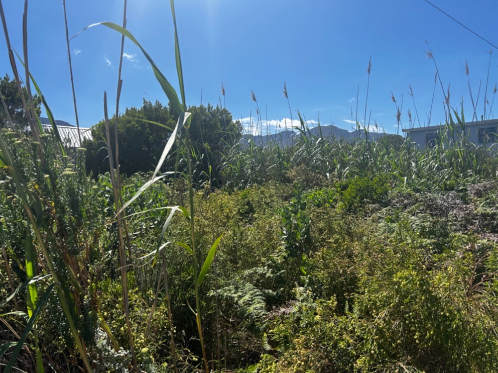 Vacant land for sale in Pringle Bay - KN1678229 Vacant land for sale in Pringle Bay - KN1678229