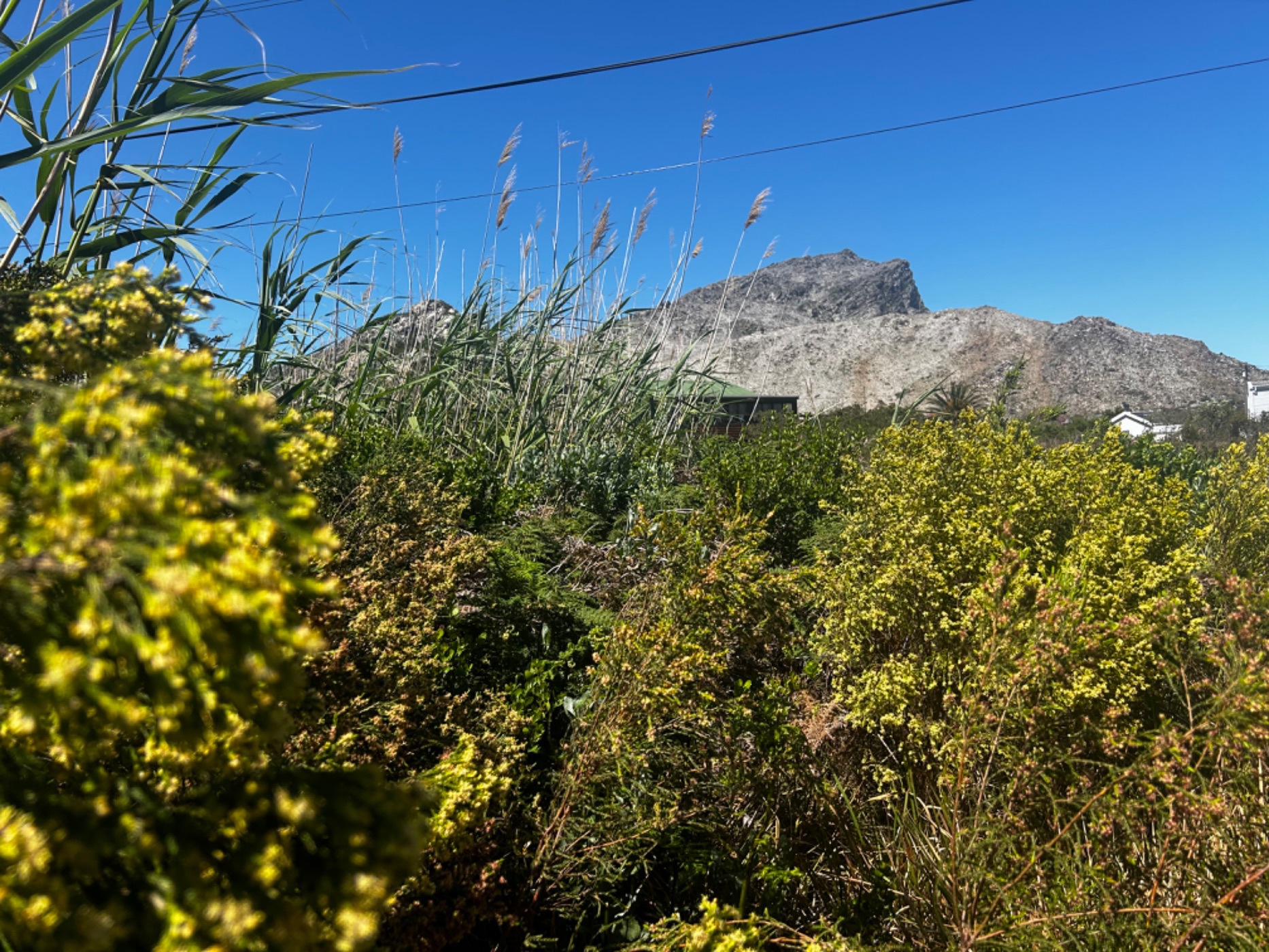 Vacant land for sale in Pringle Bay - KN1678229