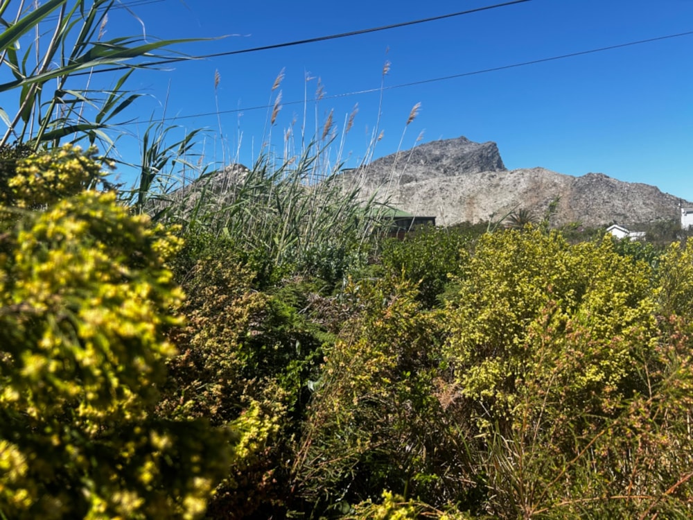 Vacant land for sale in Pringle Bay - KN1678229