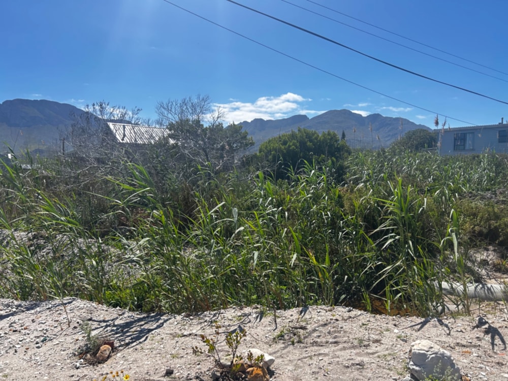 Vacant land for sale in Pringle Bay - KN1678229 Vacant land for sale in Pringle Bay - KN1678229