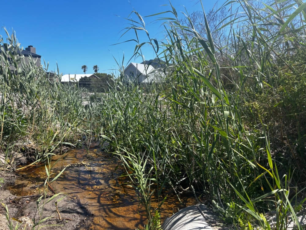 Vacant land for sale in Pringle Bay - KN1678229 Vacant land for sale in Pringle Bay - KN1678229