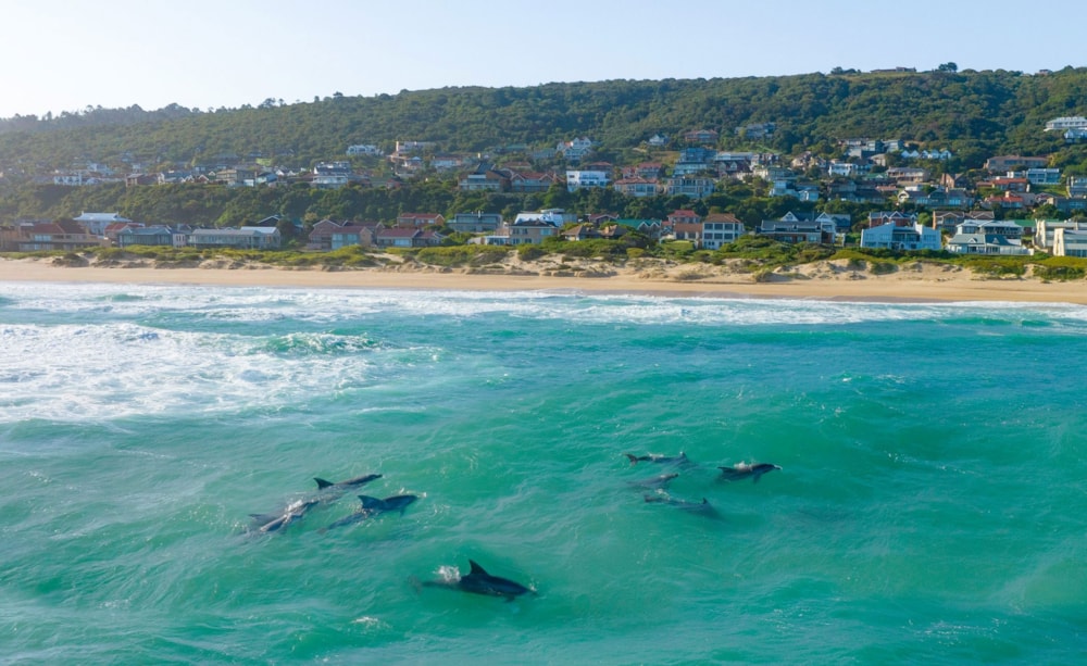 Beachfront villa for sale in Outeniqua Strand - 1MB1676153 Beachfront villa for sale in Outeniqua Strand - 1MB1676153