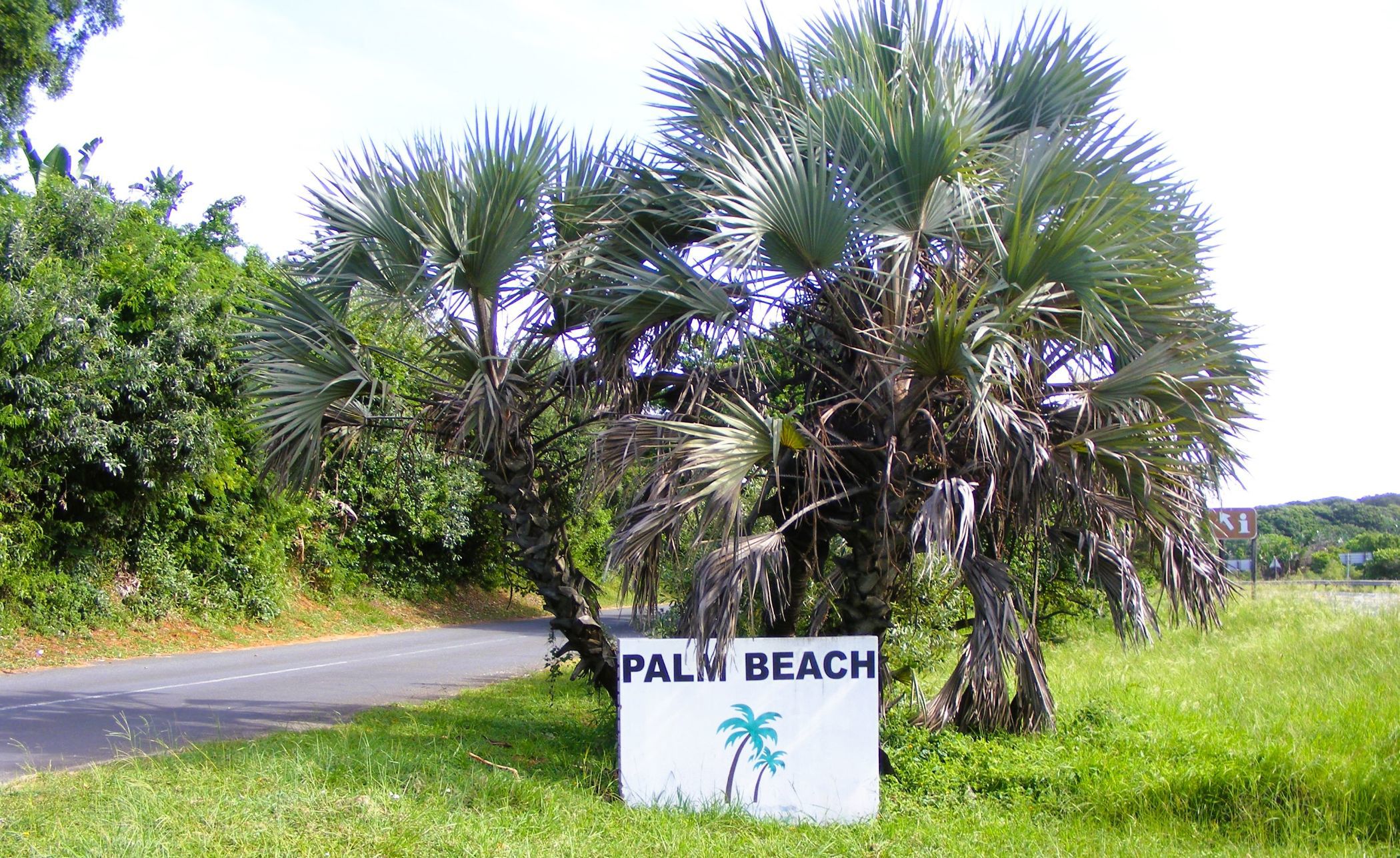 Residential vacant land for sale in Palm Beach - 1PD1533061