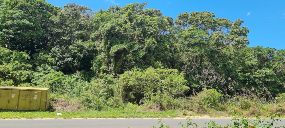 Residential vacant land for sale in Palm Beach - 1PD1533061 Residential vacant land for sale in Palm Beach - 1PD1533061