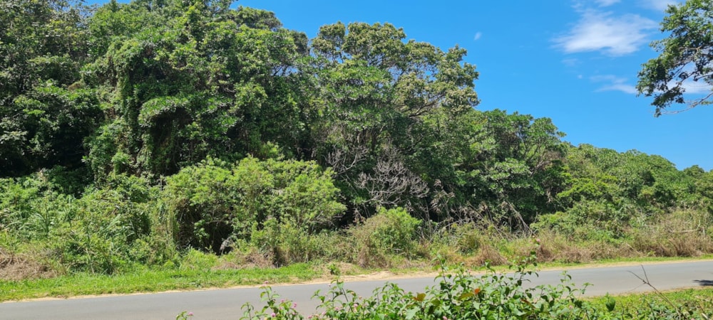 Residential vacant land for sale in Palm Beach - 1PD1533061 Residential vacant land for sale in Palm Beach - 1PD1533061