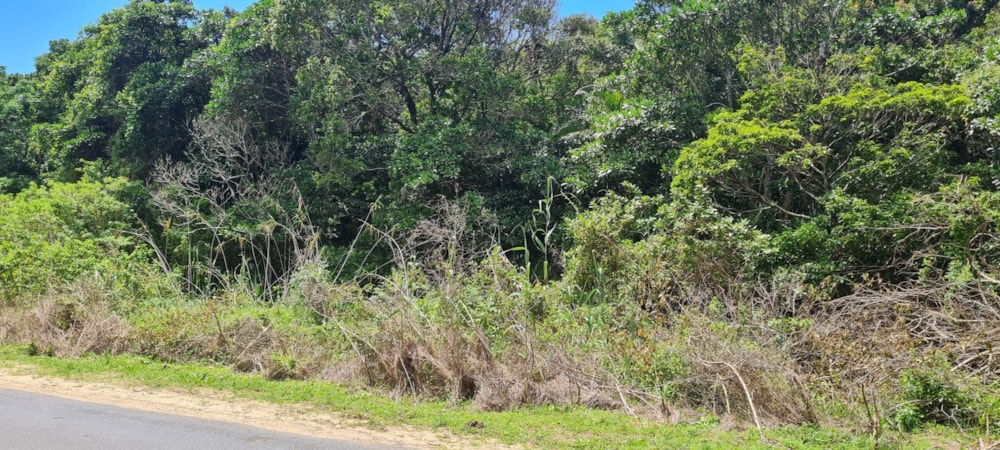Residential vacant land for sale in Palm Beach - 1PD1533061 Residential vacant land for sale in Palm Beach - 1PD1533061