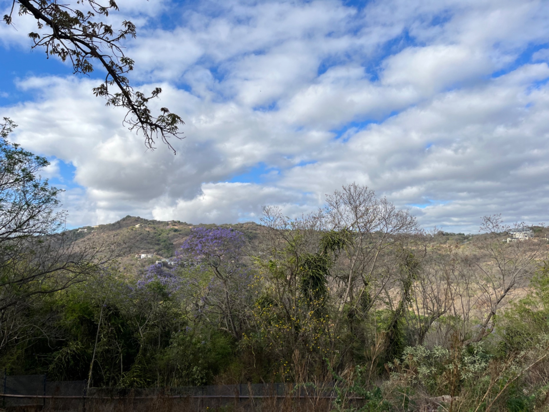 Vacant land for sale in Mbombela Ext 5 (Nelspruit Ext 5) - 1NS1676316