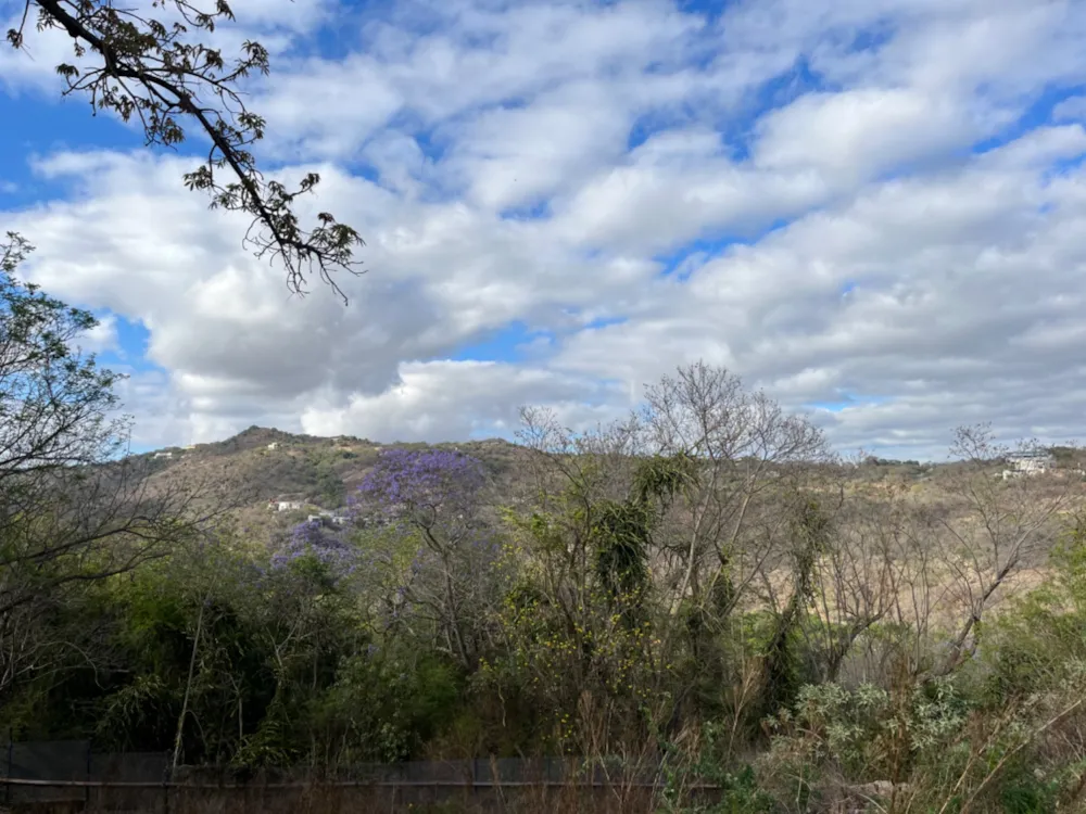 Vacant land for sale in Mbombela Ext 5 (Nelspruit Ext 5) - 1NS1676316 Vacant land for sale in Mbombela Ext 5 (Nelspruit Ext 5) - 1NS1676316