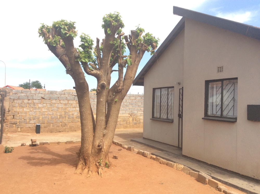 House for sale in Protea Glen - RDT1644083 House for sale in Protea Glen - RDT1644083