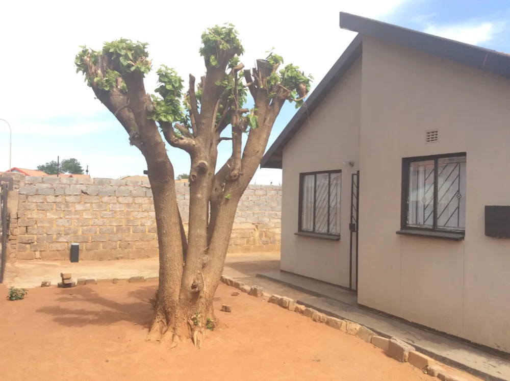 House sold in Protea Glen - RDT1644083 House sold in Protea Glen - RDT1644083