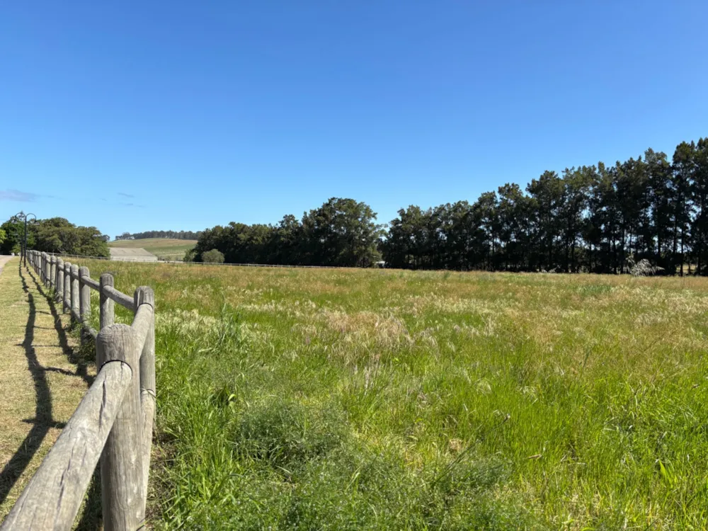 Wine farm for sale in Stellenbosch Farms - ST1659473 Wine farm for sale in Stellenbosch Farms - ST1659473
