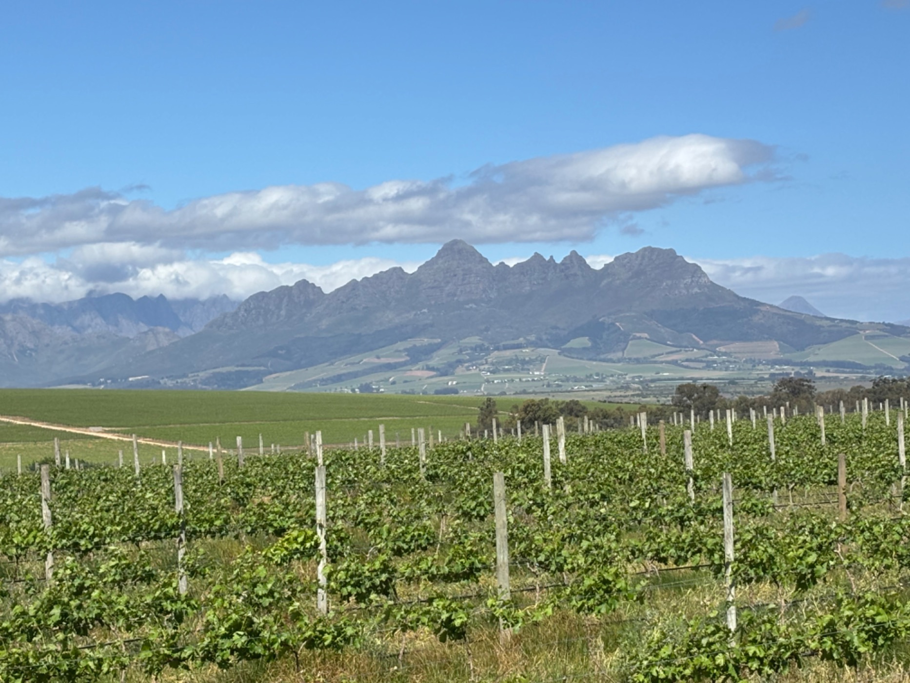 Wine farm for sale in Stellenbosch Farms - ST1659473