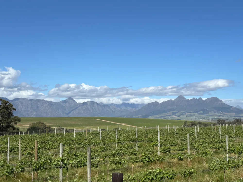 Wine farm for sale in Stellenbosch Farms - ST1659473 Wine farm for sale in Stellenbosch Farms - ST1659473