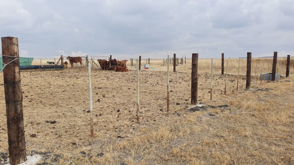 Smallholding sold in Vaal Dam, Gauteng - 1VT1679718 Smallholding sold in Vaal Dam, Gauteng - 1VT1679718
