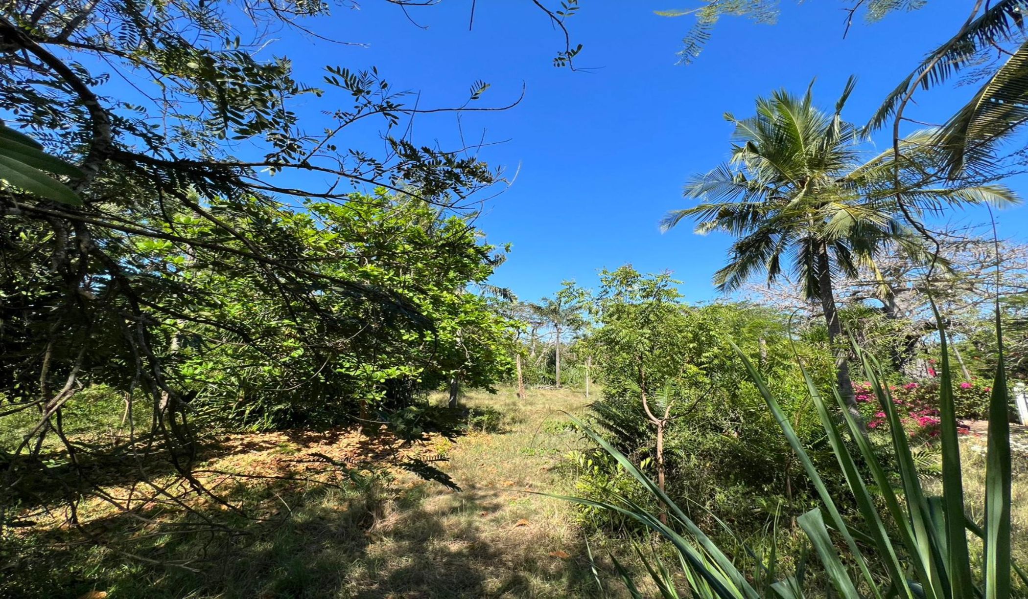 Residential vacant land for sale in Diani, Kenya - 3KE1678715