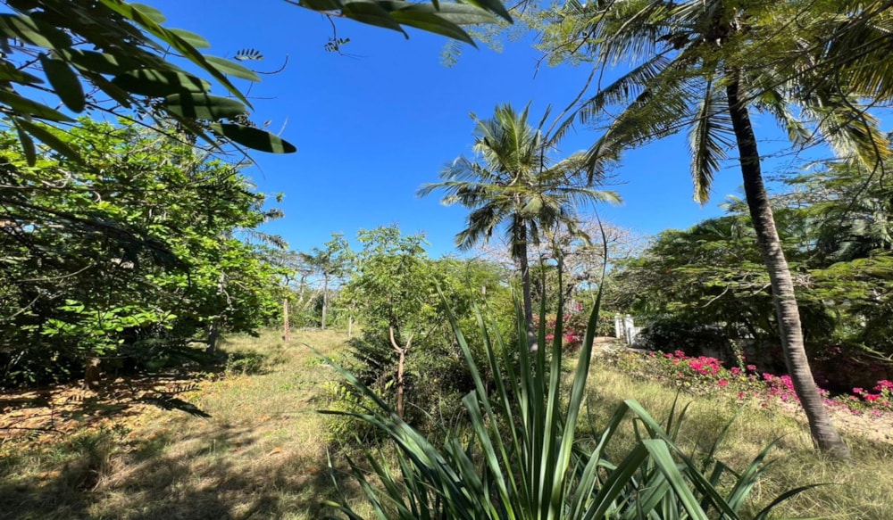Residential vacant land for sale in Diani, Kenya - 3KE1678715