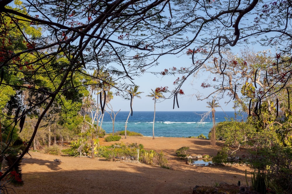 Beachfront villa to rent in Tiwi, Kenya - 3KE1679670 Beachfront villa to rent in Tiwi, Kenya - 3KE1679670