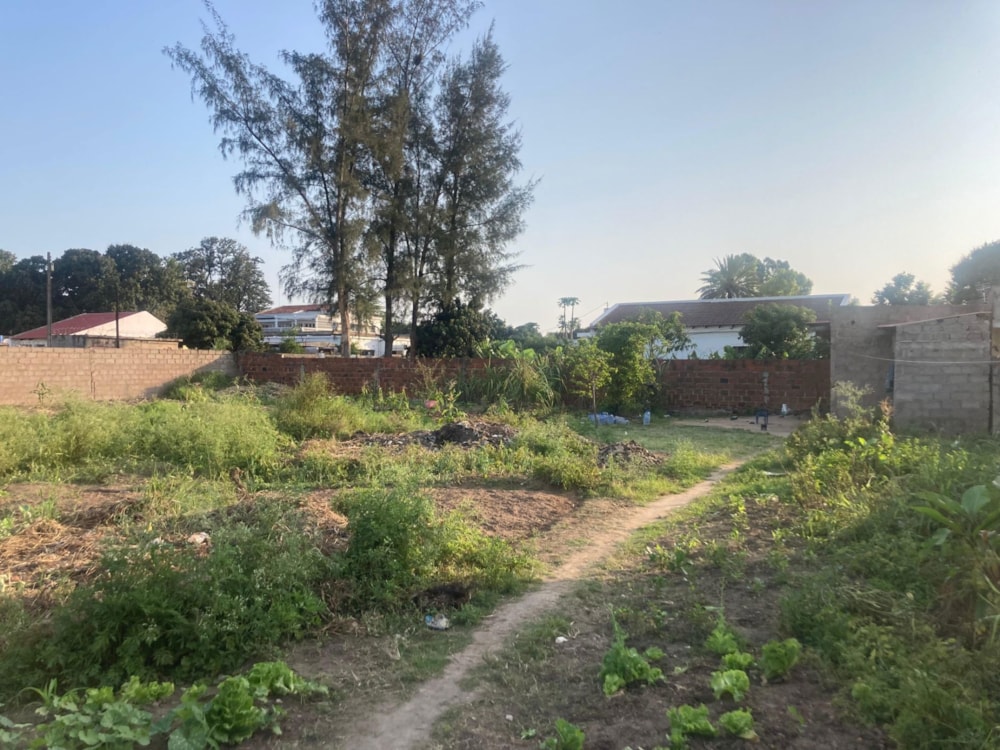 Vacant land for investment in Matola, Mozambique - 3MQ1675628 Vacant land for investment in Matola, Mozambique - 3MQ1675628