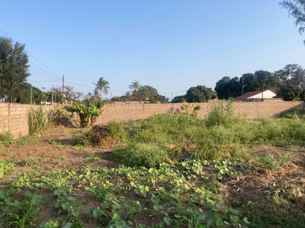 Vacant land for investment in Matola, Mozambique - 3MQ1675628 Vacant land for investment in Matola, Mozambique - 3MQ1675628