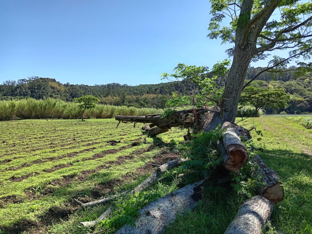 Vacant land for sale in Port Shepstone, Port Shepstone - 1PSH1675858