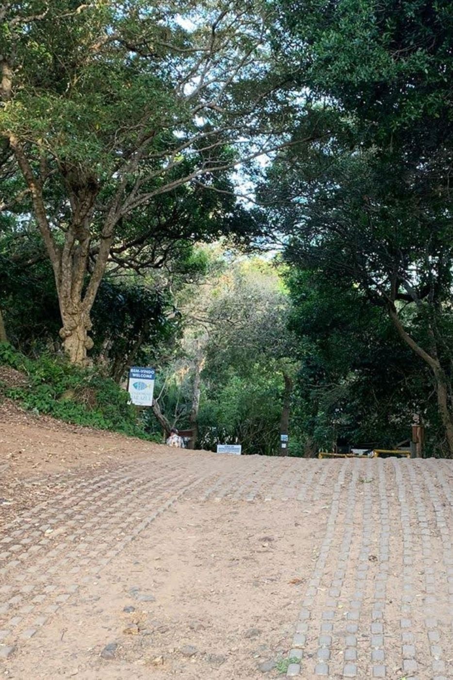 Vacant land for investment in Ponta Malongane, Mozambique - 3MQ1675704