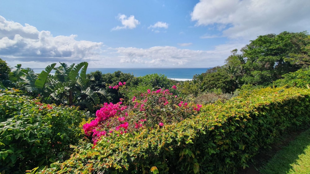 Single-storey house for sale in Southbroom - 1PD1675829 Single-storey house for sale in Southbroom - 1PD1675829