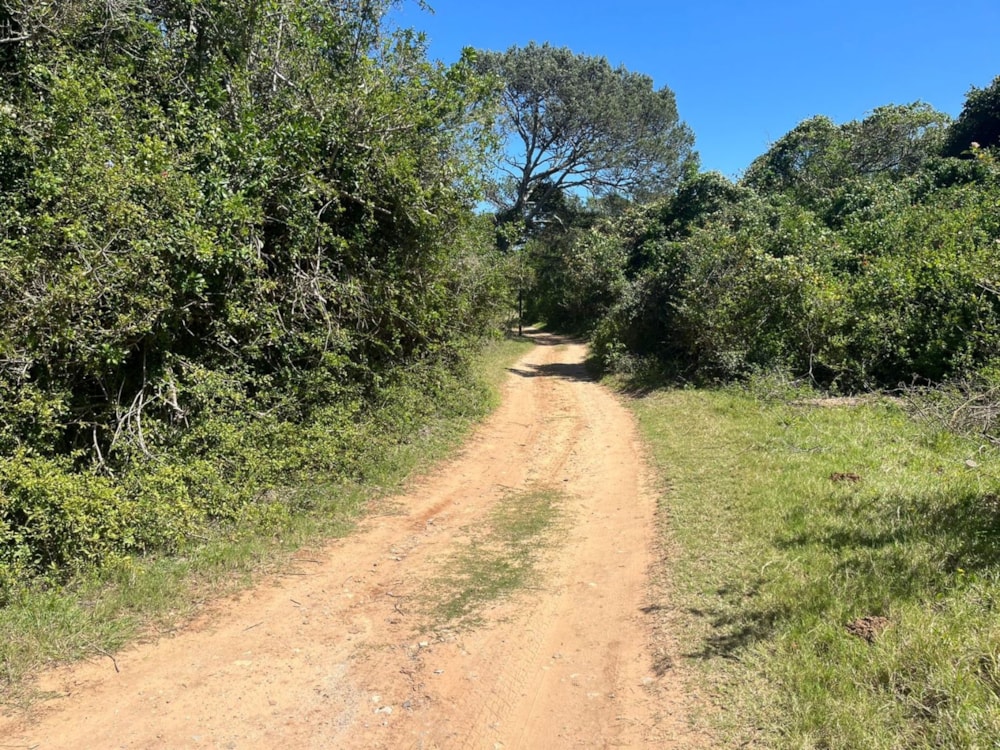 Vacant land sold in Bathurst - 1PF1676036 Vacant land sold in Bathurst - 1PF1676036