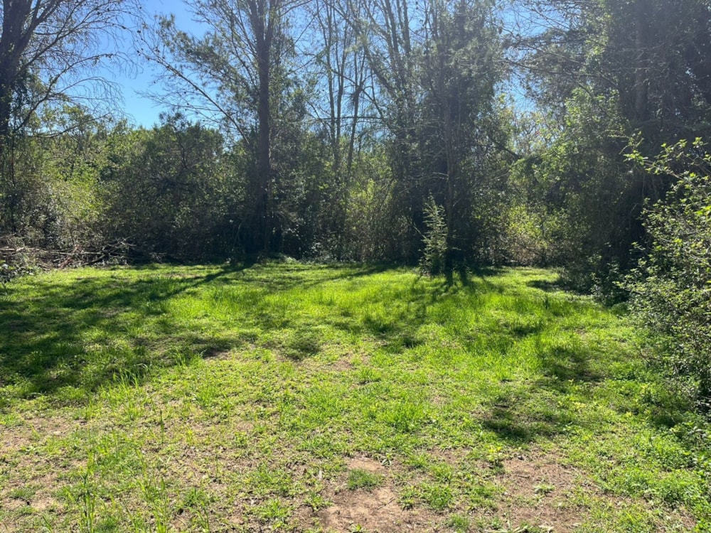 Vacant land sold in Bathurst - 1PF1676036 Vacant land sold in Bathurst - 1PF1676036