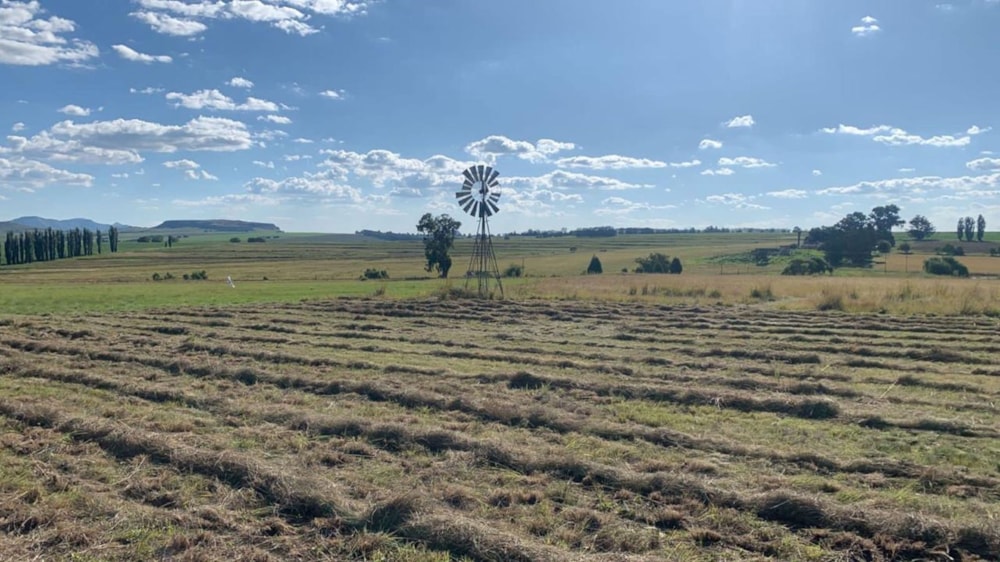 Farm vacant land for sale in Bethlehem - 1BTH1676103