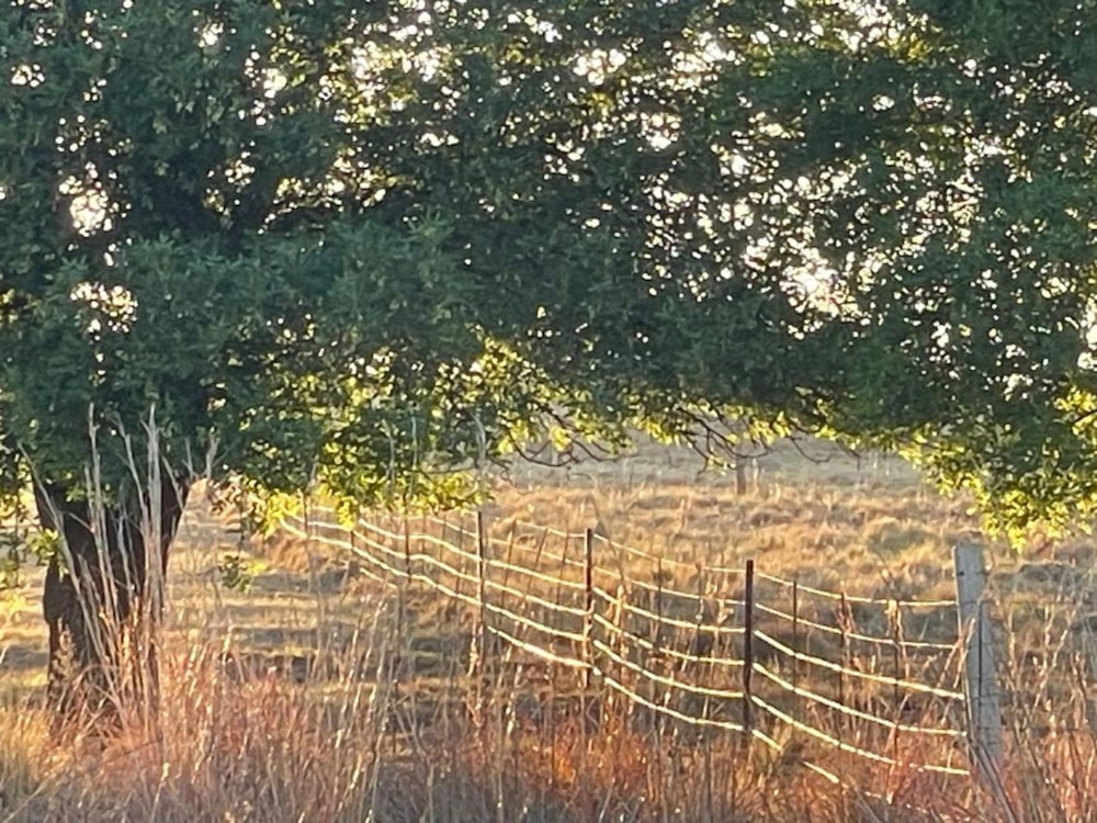 Farm vacant land for sale in Bethlehem - 1BTH1676103