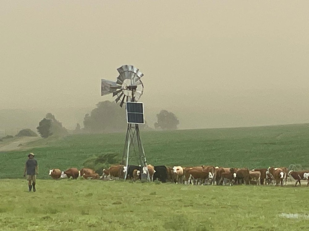 Farm vacant land for sale in Bethlehem - 1BTH1676103