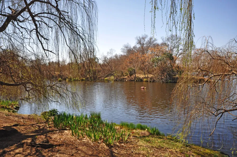 House for sale in Northdene, Vanderbijlpark - 1VT1745968 House for sale in Northdene, Vanderbijlpark - 1VT1745968