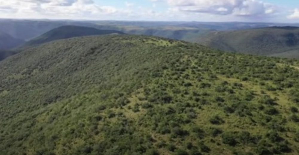 Game farm for sale in Komga - 1EZ1676510