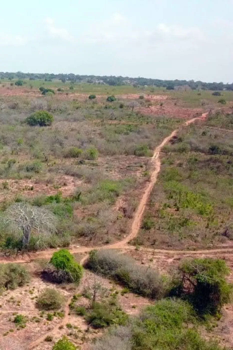 Vacant land for investment in Nampula, Mozambique - 3MQ1676494 Vacant land for investment in Nampula, Mozambique - 3MQ1676494