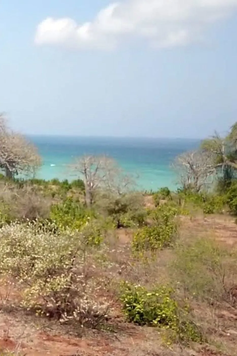 Vacant land for investment in Nampula, Mozambique - 3MQ1676494 Vacant land for investment in Nampula, Mozambique - 3MQ1676494