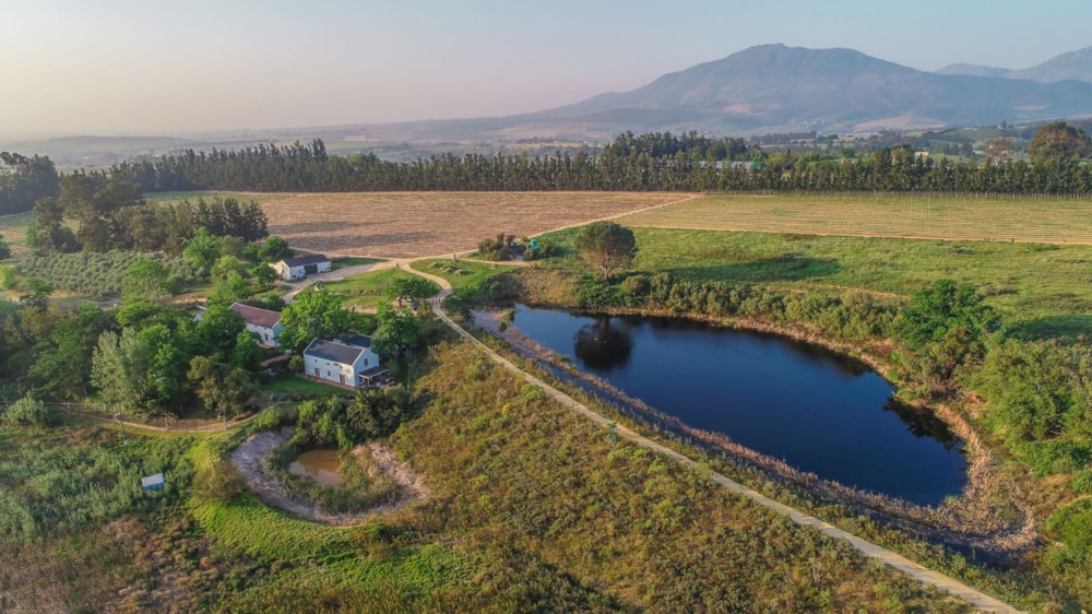 Wine farm sold in Wellington Rural - TK1713390