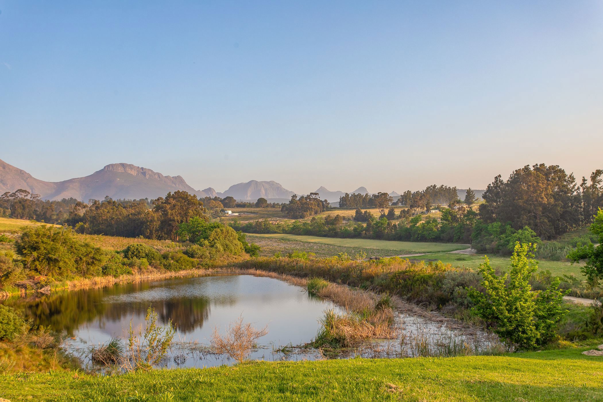 Wine farm sold in Wellington Rural - TK1713390