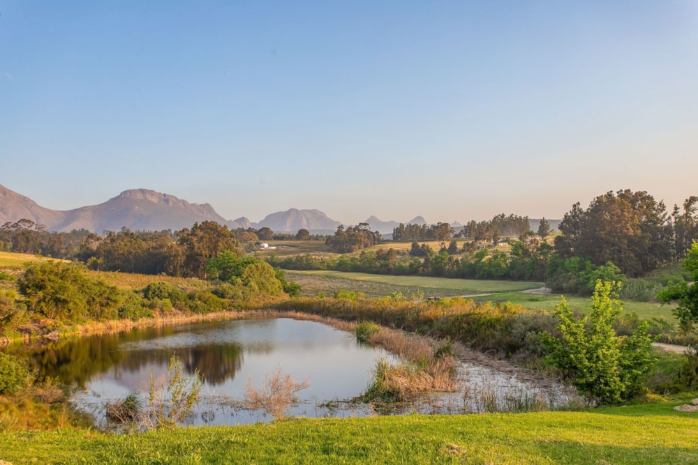 Wine farm sold in Wellington Rural - TK1713390