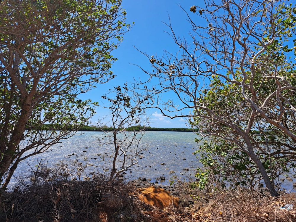 Vacant land for sale in Riviere du Rempart, Mauritius - MPR1677387