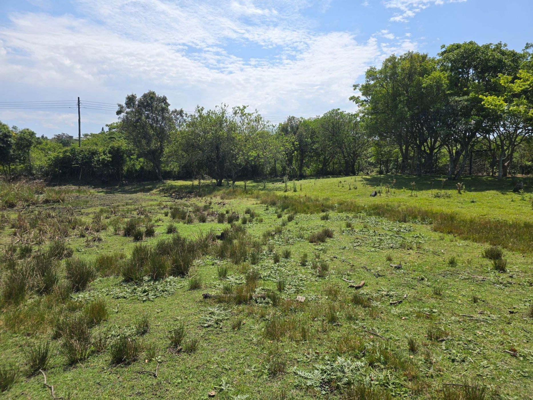 Vacant land sold in Bathurst - 1PF1677852