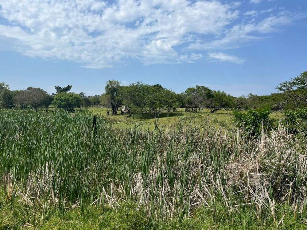 Vacant land sold in Bathurst - 1PF1677852 Vacant land sold in Bathurst - 1PF1677852