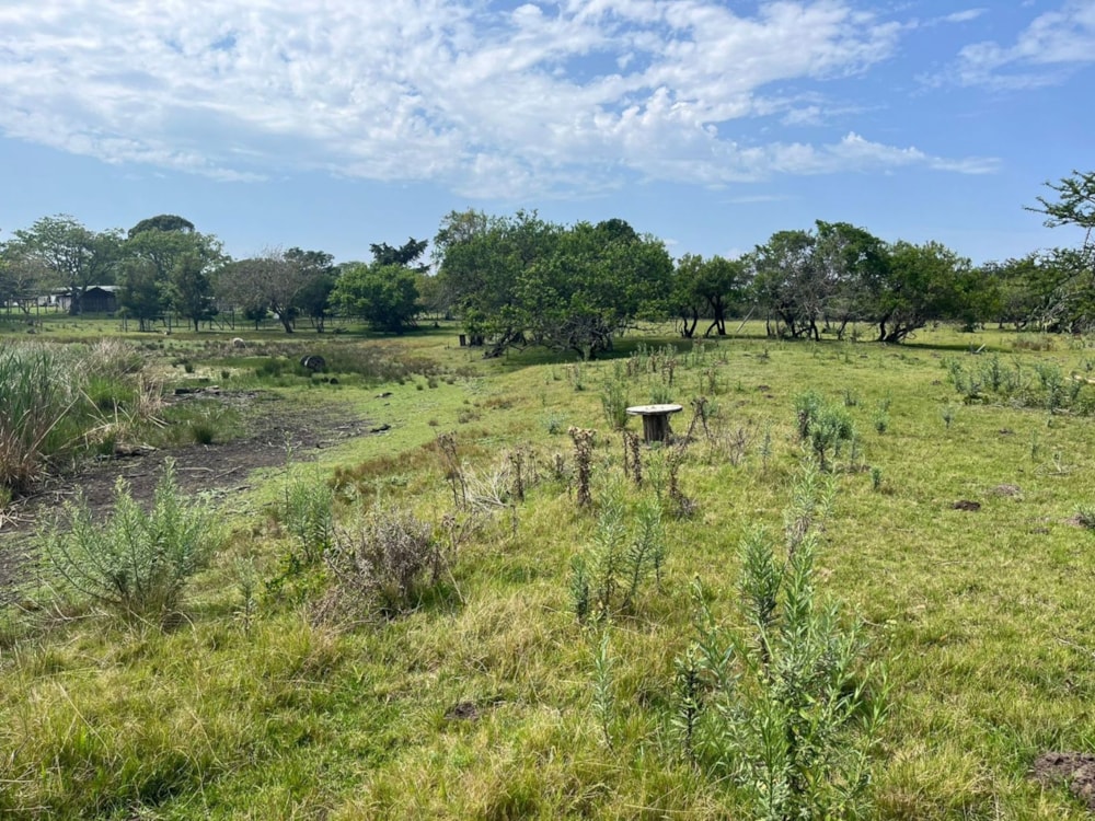 Vacant land sold in Bathurst - 1PF1677852 Vacant land sold in Bathurst - 1PF1677852