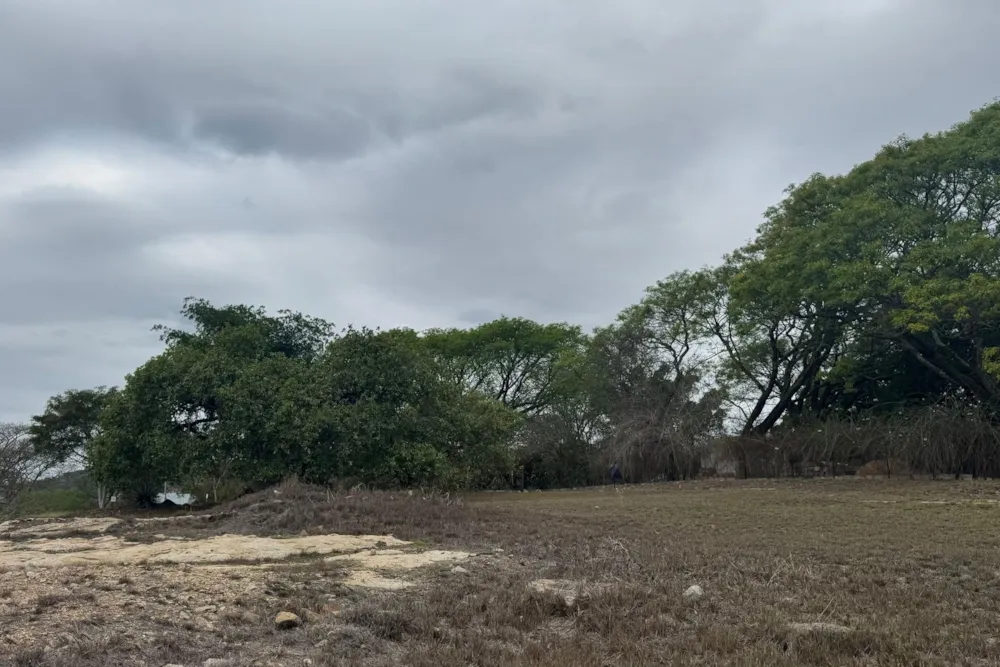 Vacant land for sale in The Rest - 1NS1685543