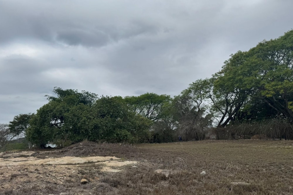 Vacant land for sale in The Rest - 1NS1685543