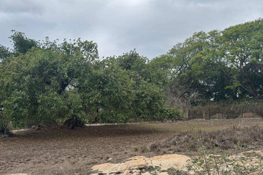 Vacant land for sale in The Rest - 1NS1685543