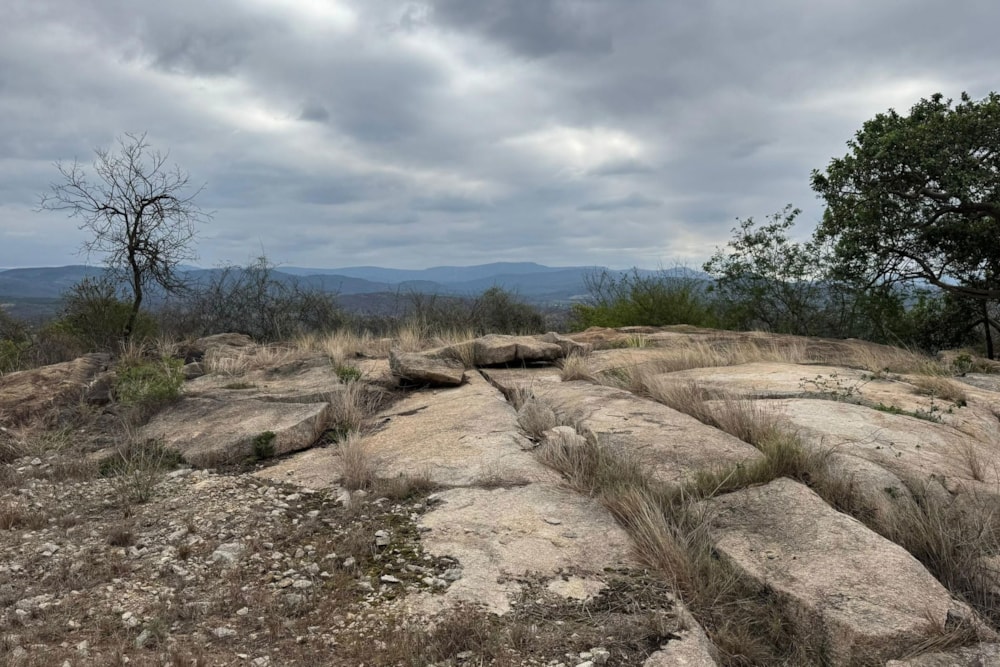 Vacant land for sale in The Rest - 1NS1677779