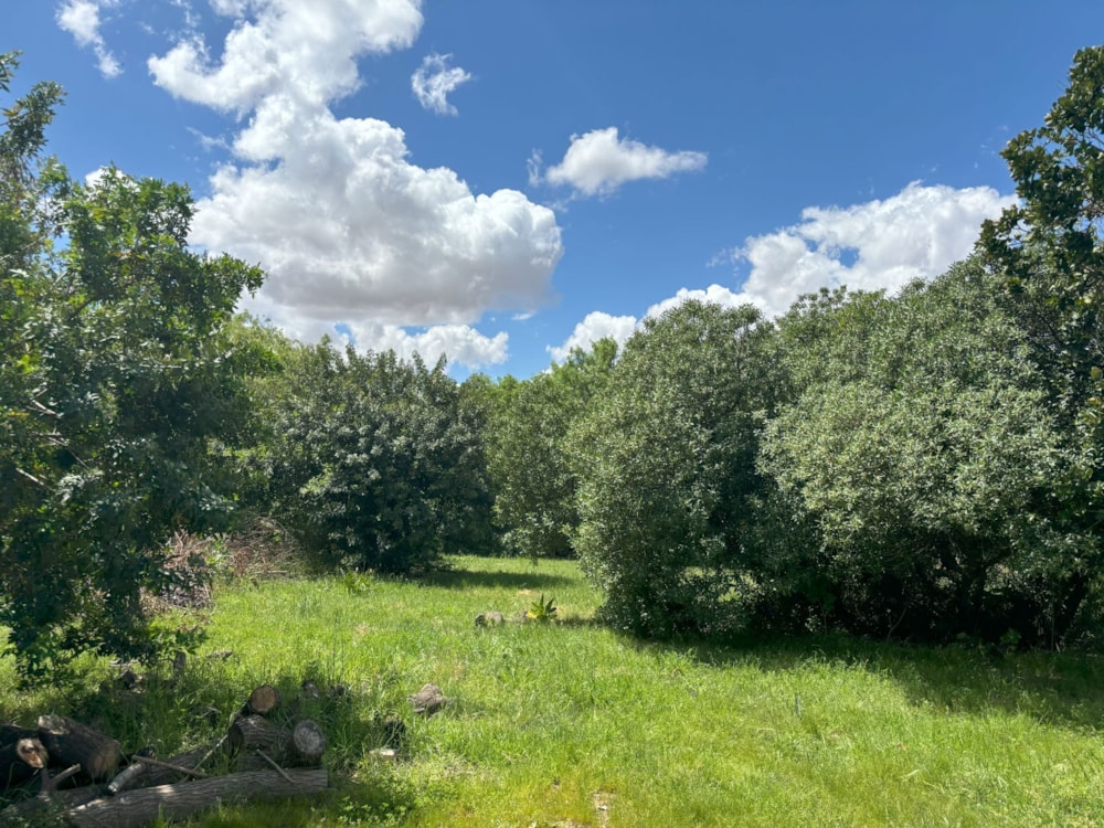 Vacant land sold in Riebeek Kasteel - RV1677929 Vacant land sold in Riebeek Kasteel - RV1677929