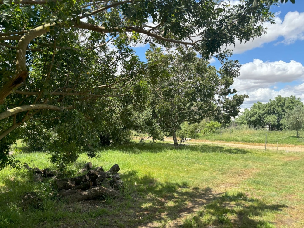 Vacant land sold in Riebeek Kasteel - RV1677929 Vacant land sold in Riebeek Kasteel - RV1677929