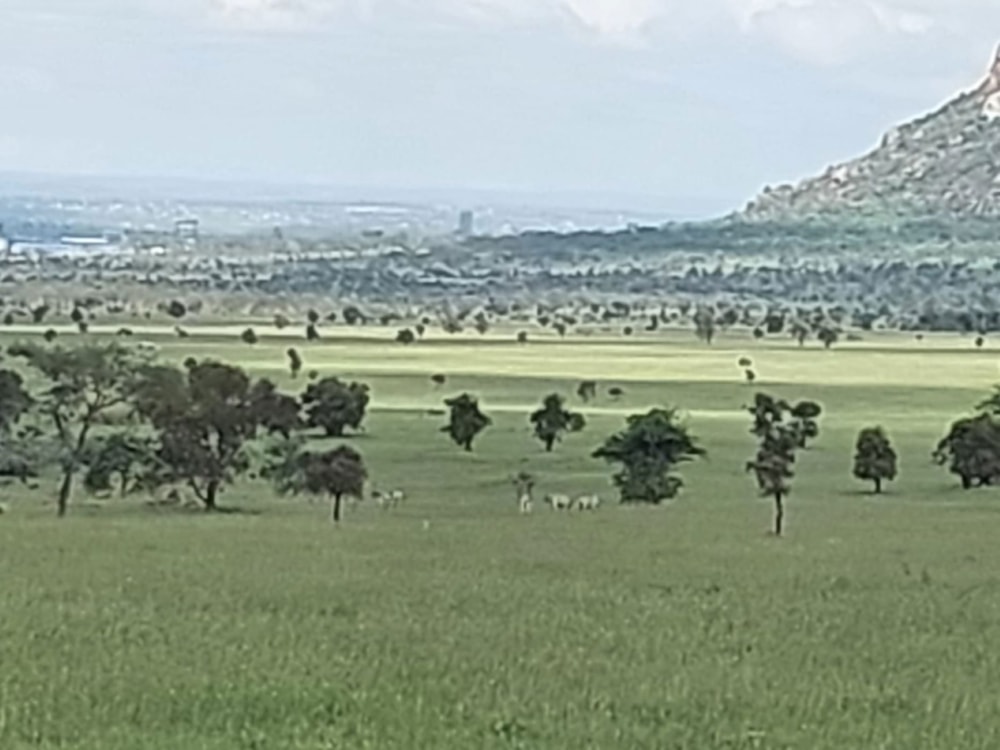 Residential vacant land sold in Athi River, Kenya - 3KE1678035 Residential vacant land sold in Athi River, Kenya - 3KE1678035